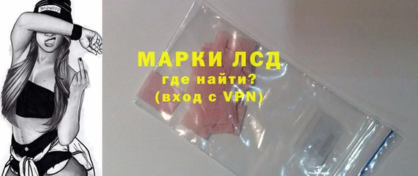 прущие грибы Наволоки
