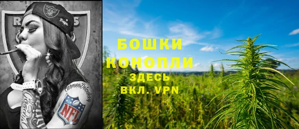 дживик Михайлов