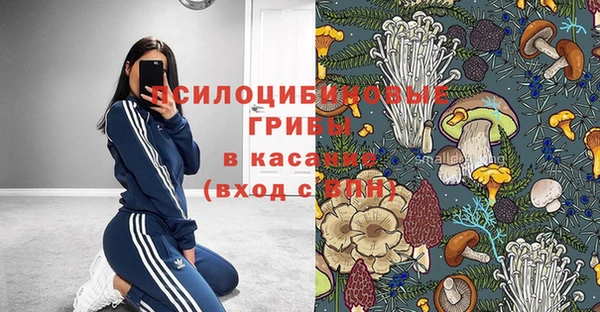 дживик Михайлов