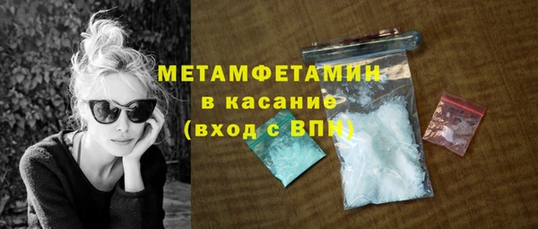 прущие грибы Наволоки