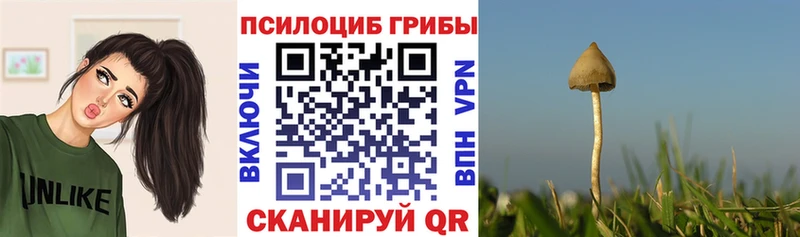 Галлюциногенные грибы Cubensis  Приморско-Ахтарск 