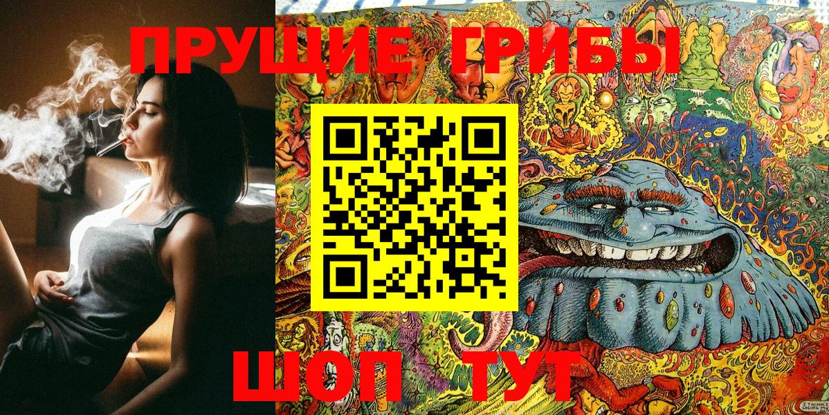 Псилоцибиновые грибы Psilocybe Приморско-Ахтарск