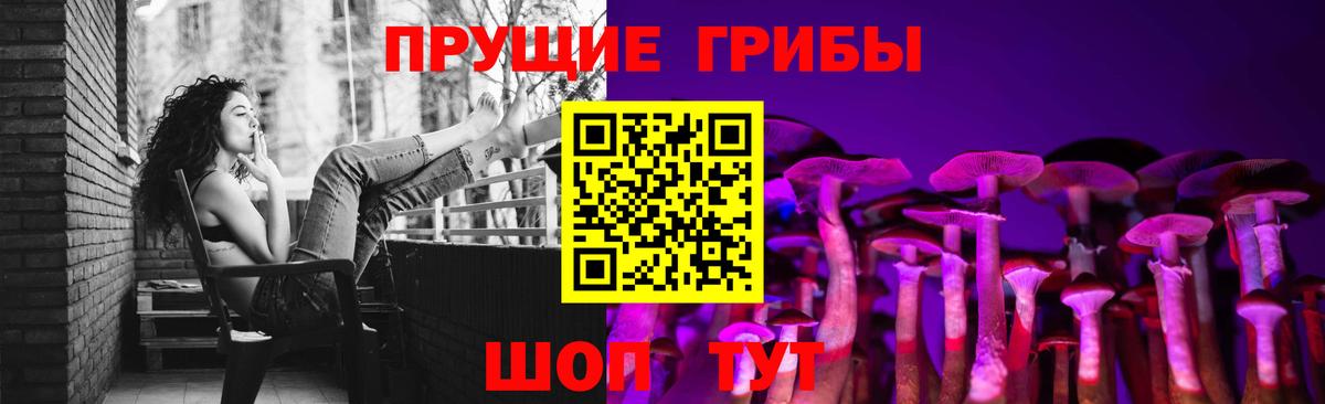 Псилоцибиновые грибы прущие грибы  Галлюциногенные грибы Psilocybine cubensis  Приморско-Ахтарск 