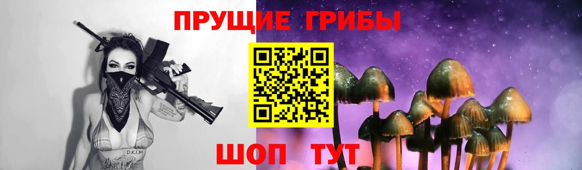Псилоцибиновые грибы Psilocybe  Вход с VPN  Приморско-Ахтарск 